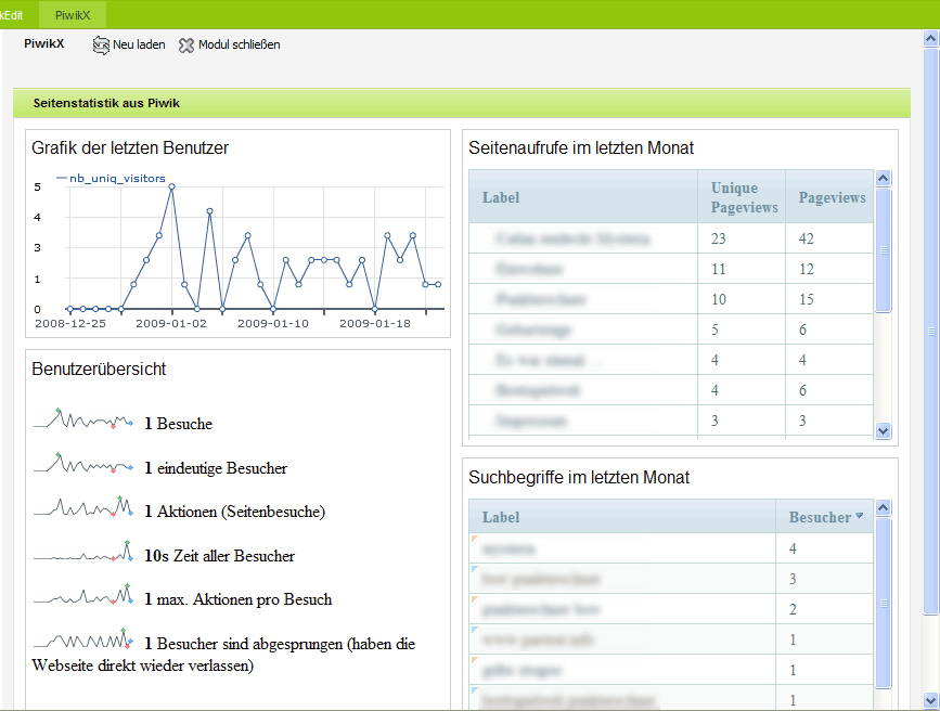 Screenshot des Piwik Moduls
